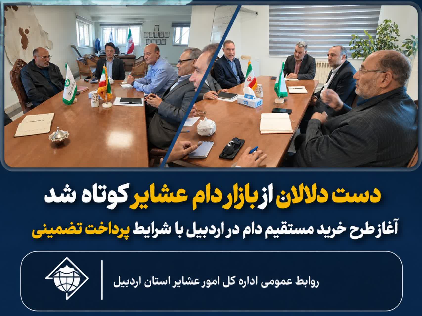 آغاز طرح خرید مستقیم دام در اردبیل با شرایط پرداخت تضمینی